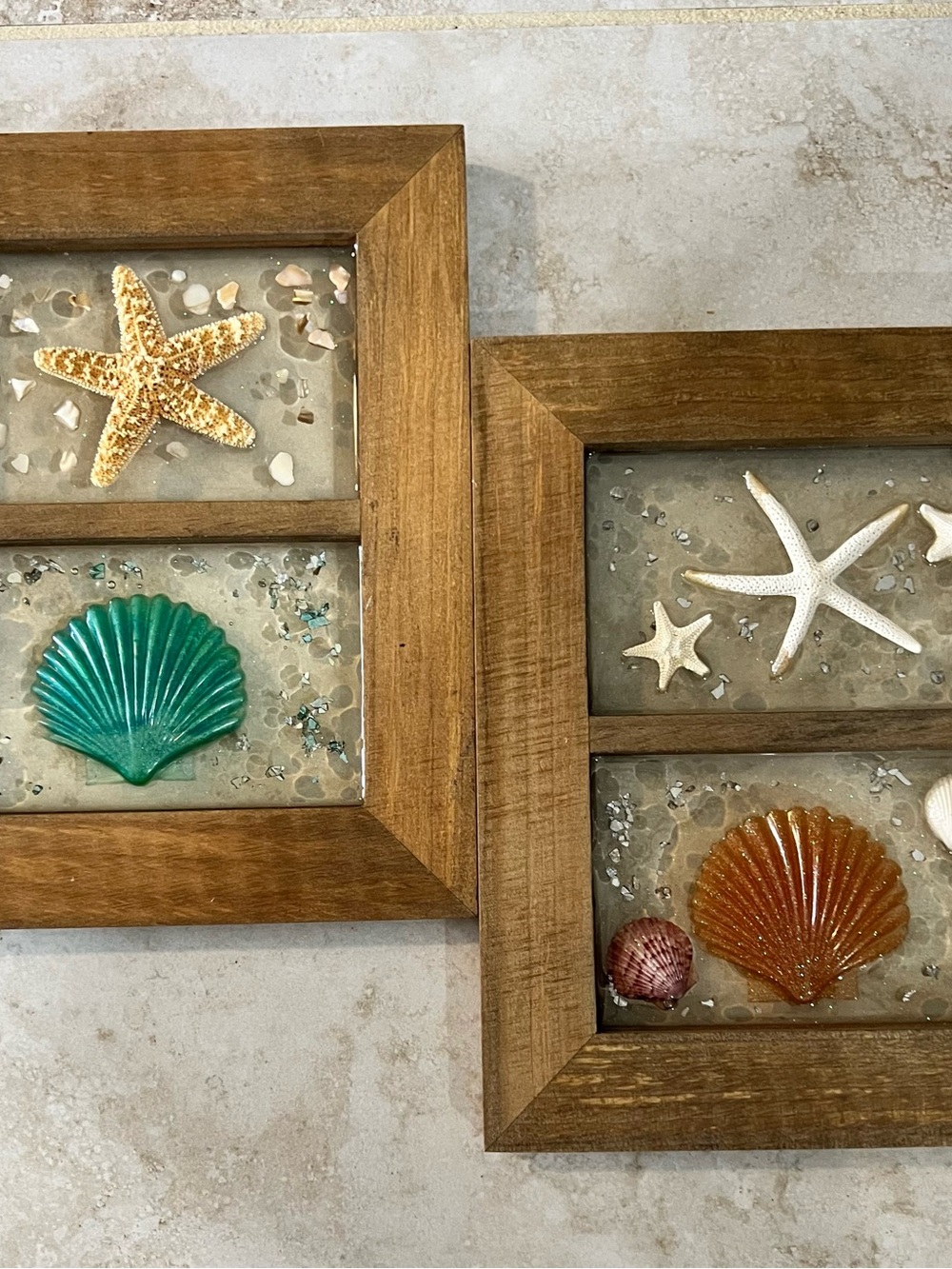 Sea shell and starfish in wood frame